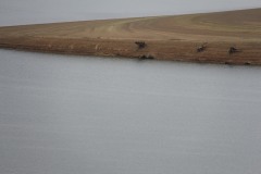 IMG_7110